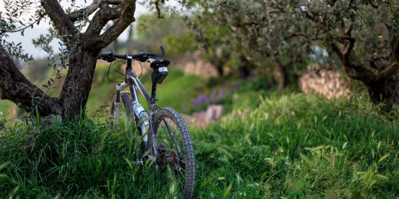 Τι είναι το Bike Friendly Hotels