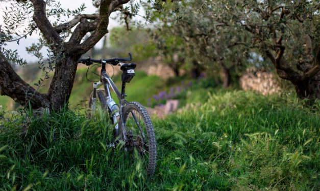 Τι είναι το Bike Friendly Hotels