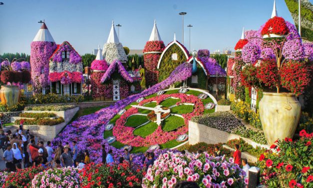 “Miracle Garden”: Ο κήπος των ονείρων σου