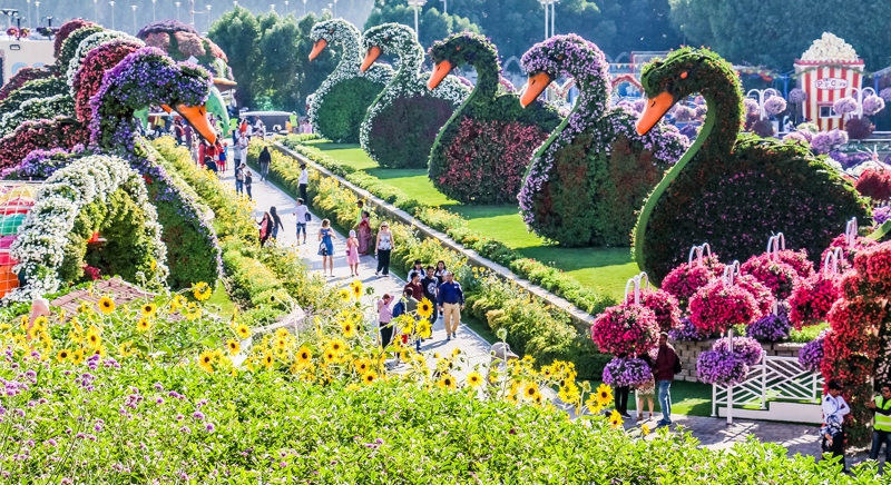 "Miracle Garden"