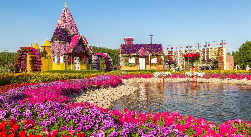 "Miracle Garden"