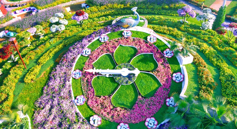 "Miracle Garden": ο κήπος των ονείρων σου