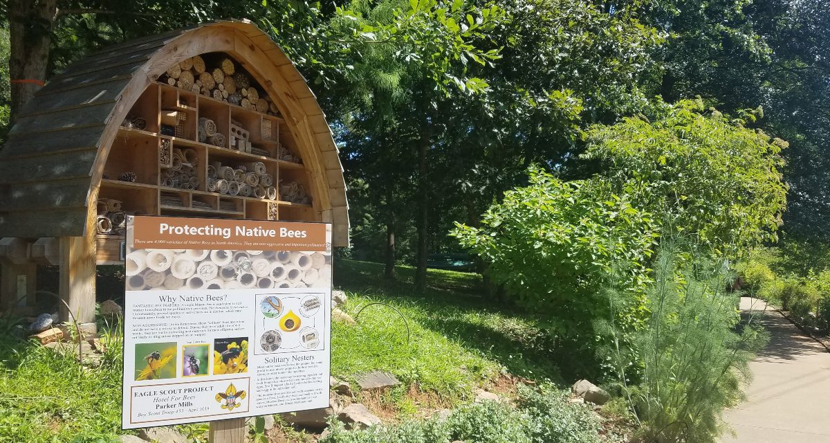 Ξενοδοχεία για άγριες μέλισσες σε όλο τον κόσμο