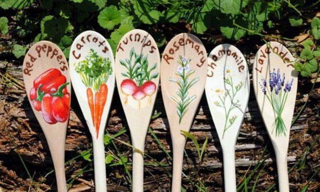 12 χειροποίητες ιδέες για ετικέτες στα φυτά σου