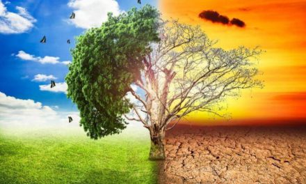 Το 40% της Ελλάδας θα γίνει έρημος αν δεν προσαρμοστεί στην κλιματική αλλαγή