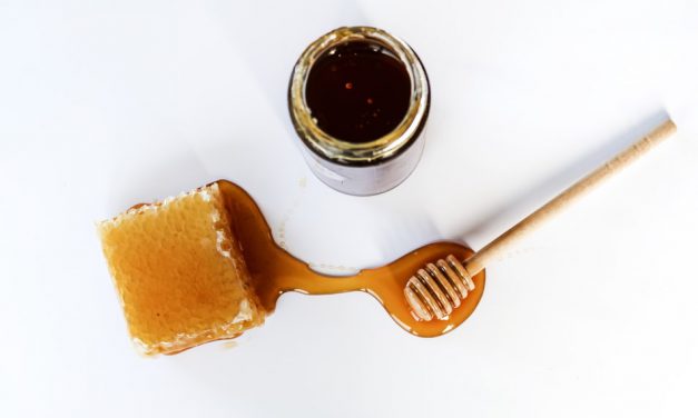 Ελληνικό μέλι – 8ο Συνέδριο Αγροτεχνολογίας
