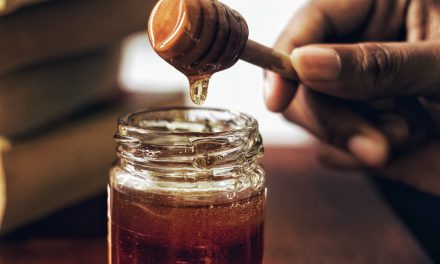 Μέλι βελανιδιάς, το θαύμα της ελληνικής φύσης με τα περισσότερα αντιοξειδωτικά