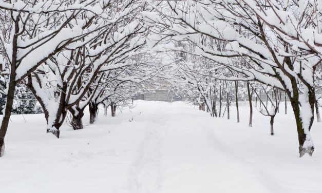 Σαν σήμερα 19 Ιανουαρίου & Τα tips της ημέρας