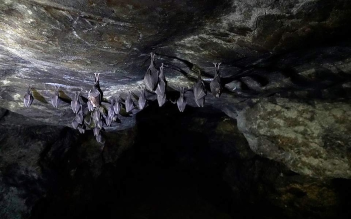 Σπήλαιο Λιμνών: Ένας φυσικός παράδεισος στην Αχαΐα