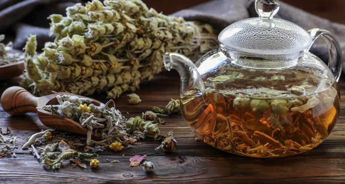 Τσάι του βουνού-Σιδερίτης: Ένα πολύτιμο ρόφημα στο φλιτζάνι