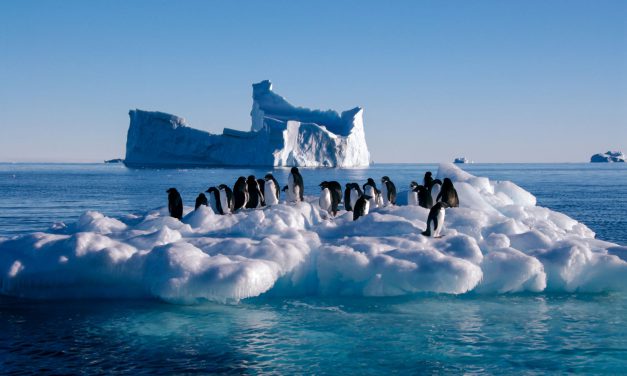 Ανταρκτική: Θερμοκρασία ρεκόρ για πρώτη φορά στα χρονικά