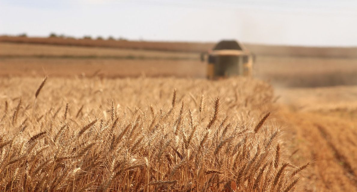 Μνημόνιο συνεργασίας για μια γεωργία χωρίς φυτοφάρμακα