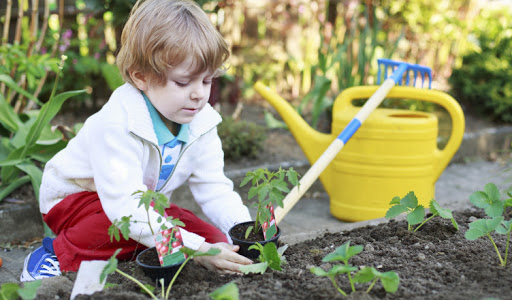 Μαθησιακός κήπος για παιδιά: Πώς να τον φτιάξεις