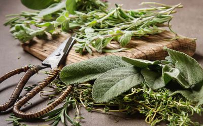 Οδηγός με βότανα για τη μαγειρική σου