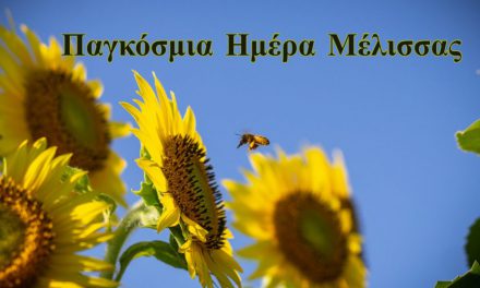 Σαν σήμερα 20 Μαΐου: Παγκόσμια Ημέρα Μέλισσας