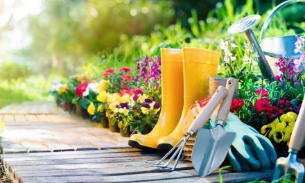Η κηπουρική βελτιώνει την υγεία και την ευεξία – Τι αποκαλύπτει η έρευνα της Δρ de Bell