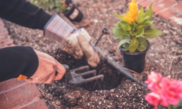 Πώς η κηπουρική μειώνει το άγχος και τη θλίψη