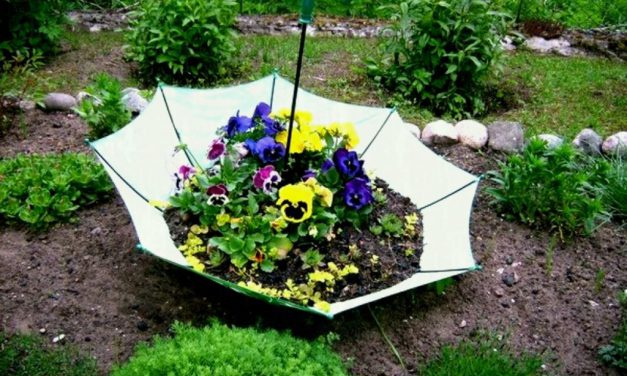Η τέχνη του κήπου: Ιδέες για να βάλεις προσωπικότητα στον κήπο σου
