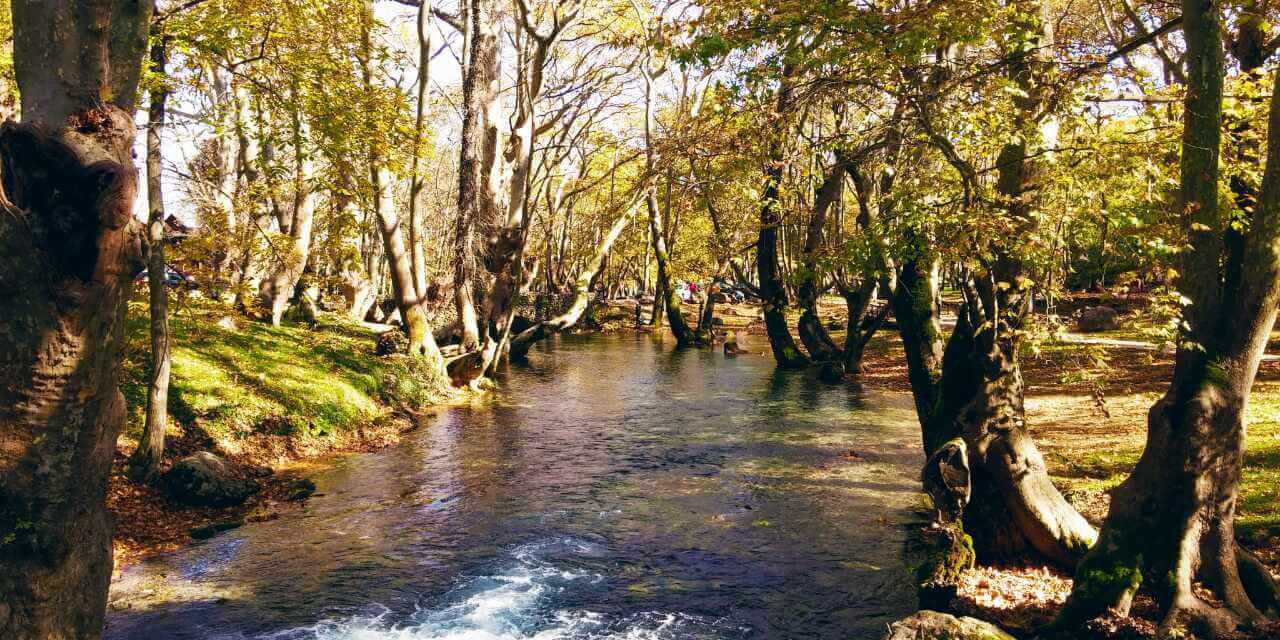 Ημαθία, Πέλλα, Χαλκιδική ενώνουν τις δυνάμεις τους για τουριστική προβολή στο 2021