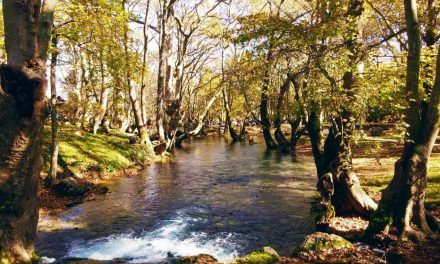 Ημαθία, Πέλλα, Χαλκιδική ενώνουν τις δυνάμεις τους για τουριστική προβολή στο 2021