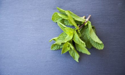 10 αρωματικά φυτά και βότανα για τον κήπο σου