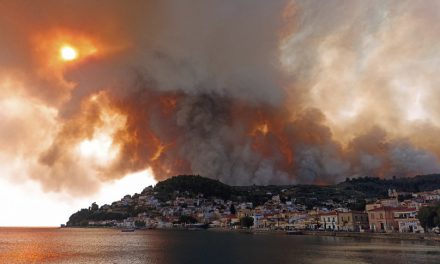 Ξανθόπουλος: η ελληνική πολιτεία έχει αποτύχει στο ζήτημα της αντιμετώπισης των πυρκαγιών